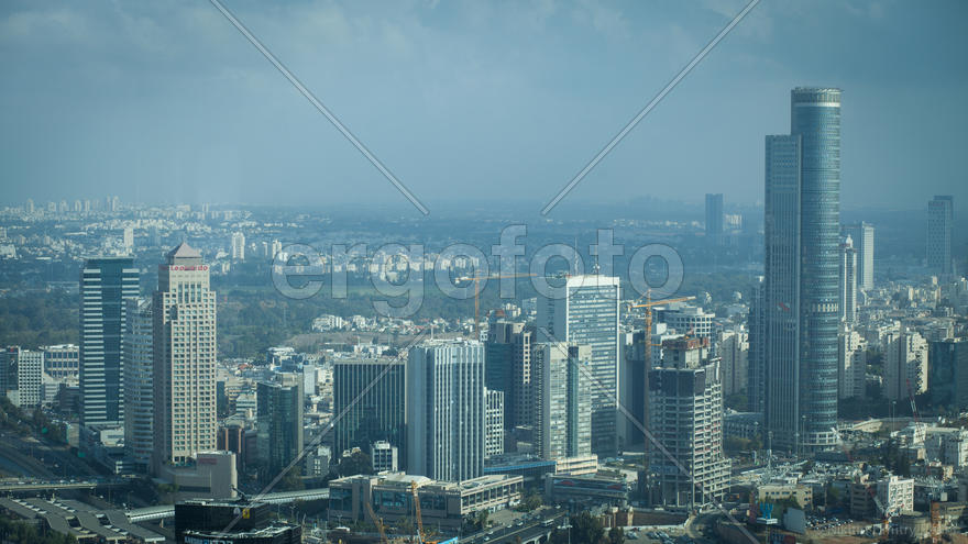 Муравейник