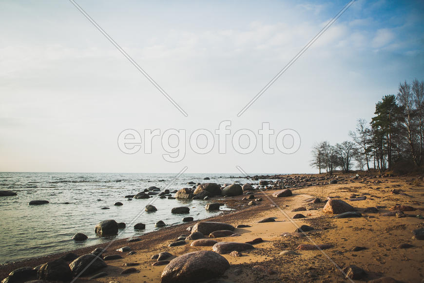 Финский залив