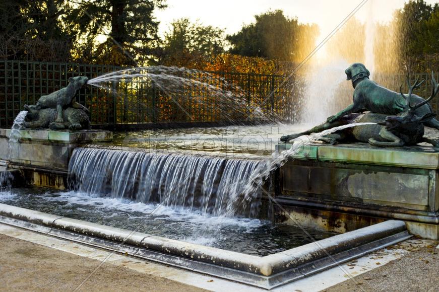 Блики Версаля 