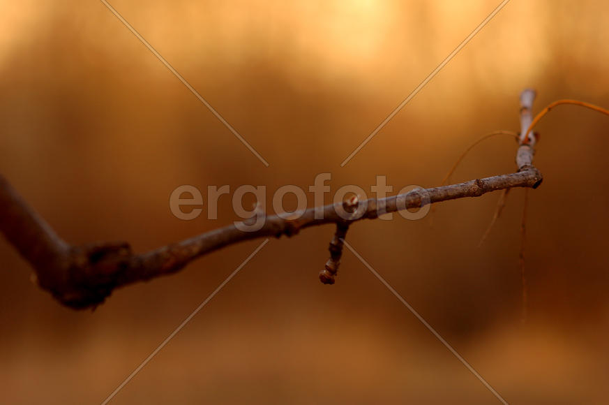 Мой самый первый кадр