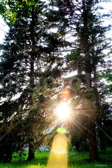 Яркий луч солнца