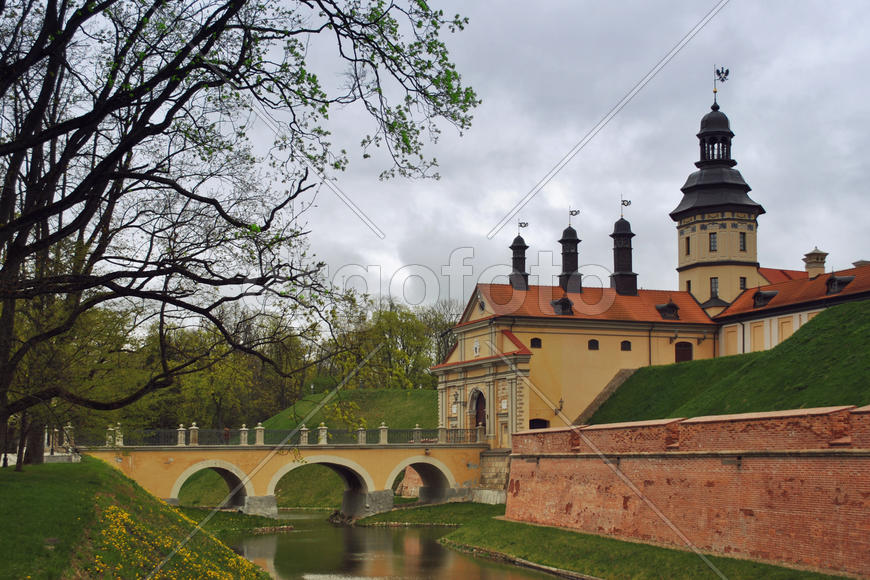 Несвижский замок
