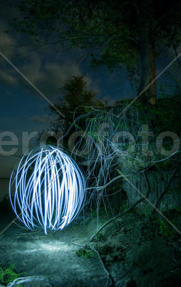 Фризлайт около дерева