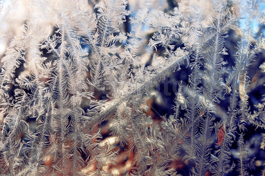 Морозный узор