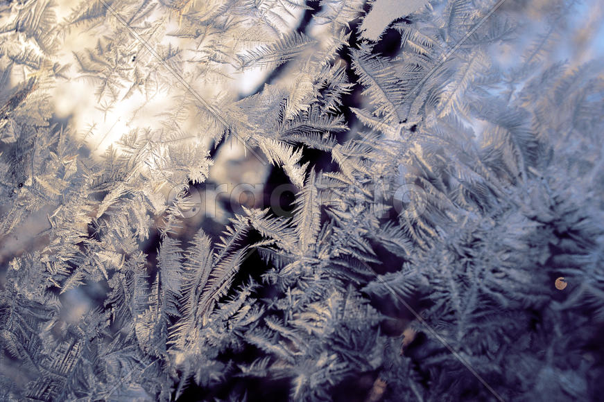 Морозный узор