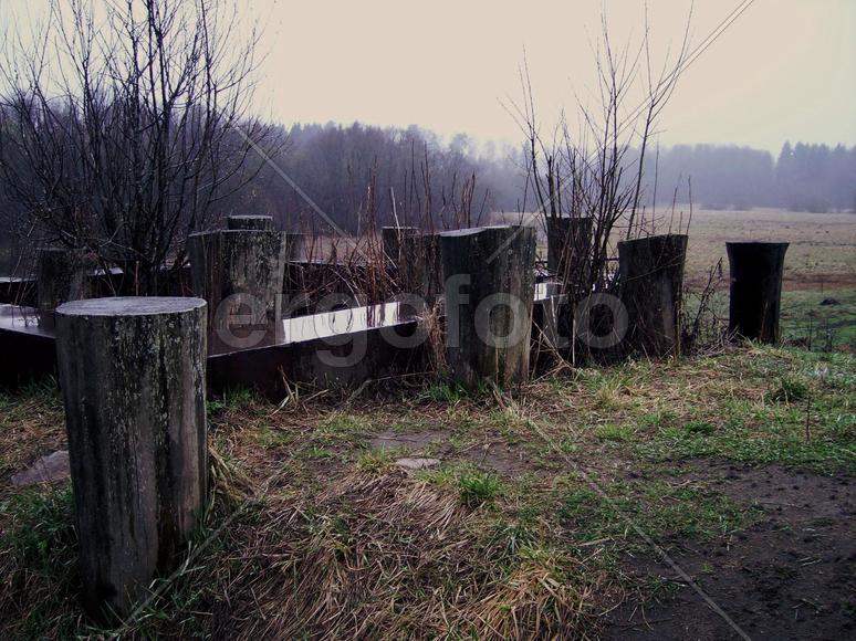 Пеньки в поле