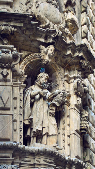 Барокко и голуби