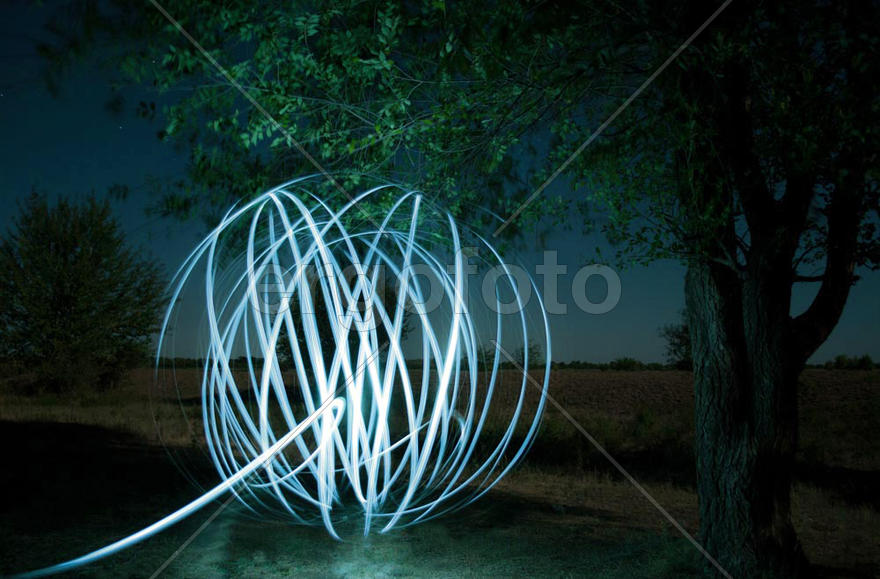 Фризлайт под деревом