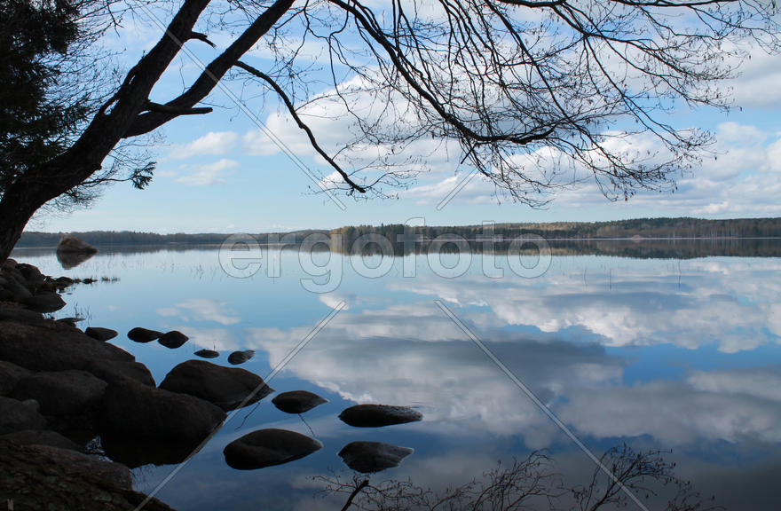 Зеркало воды