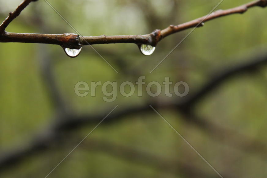 Как две капли