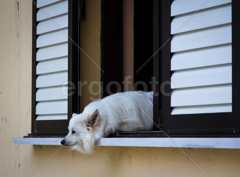 Житель Крита