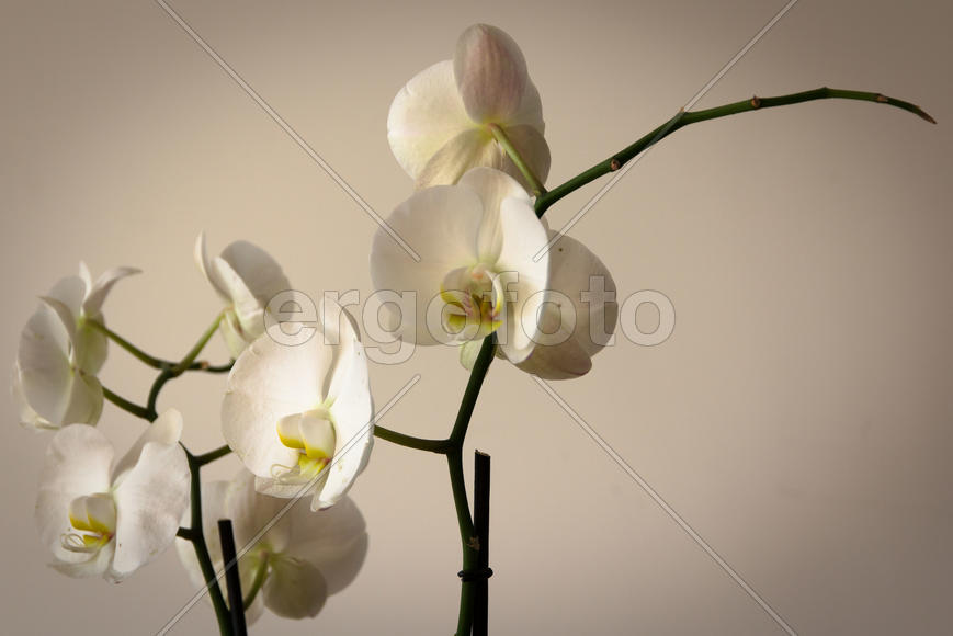 Какой!? Однако...