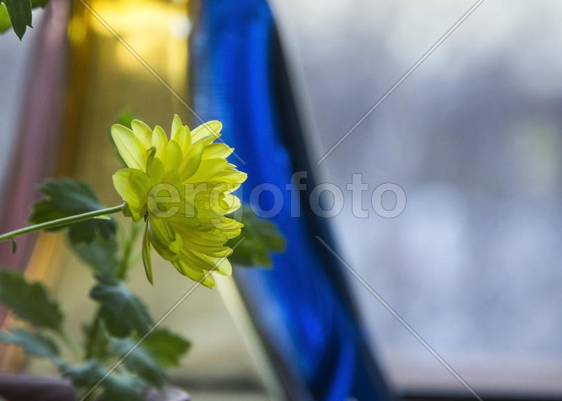 Зимний подоконник