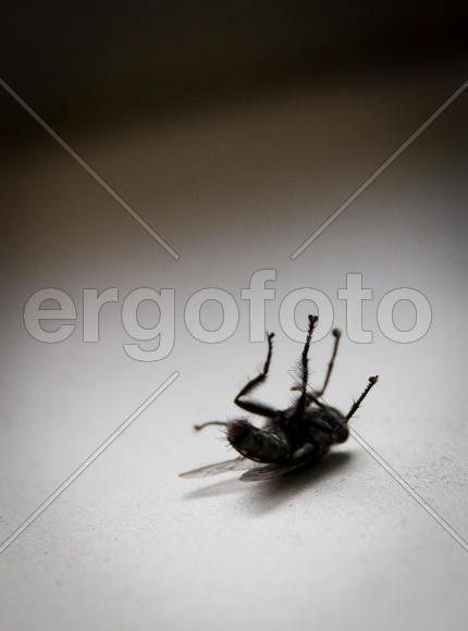 Душа отлетела