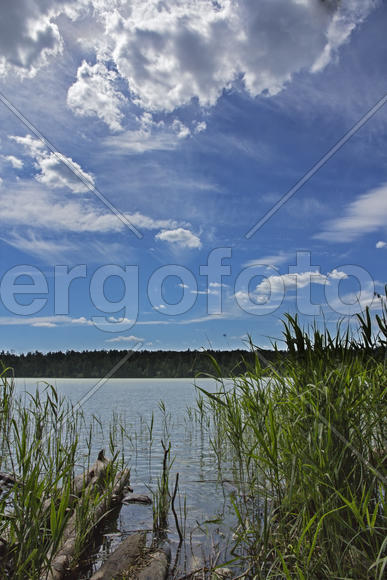 Озеро Лесное