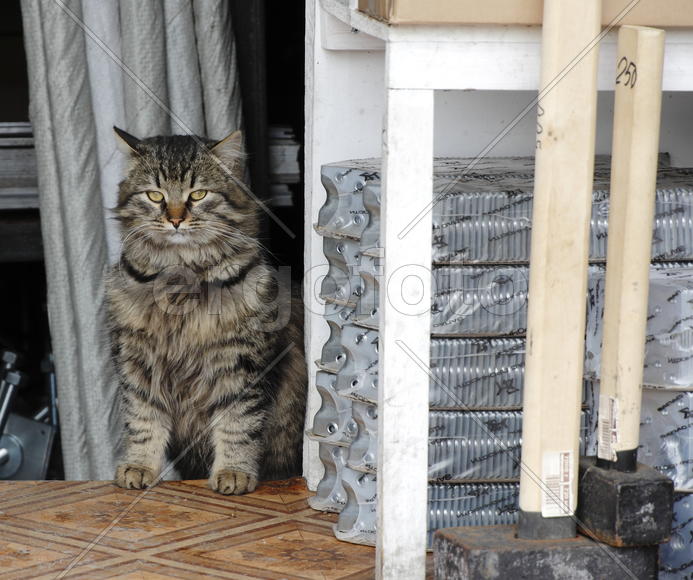 А кому кувалды?!