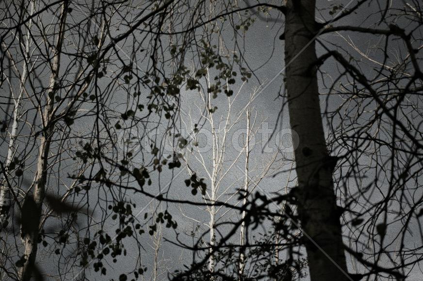 Предвестие бури