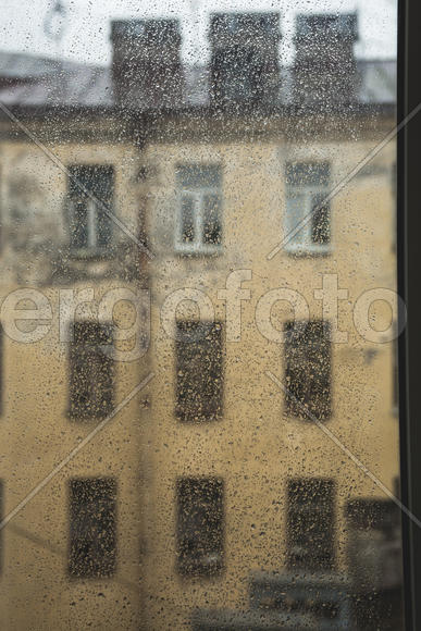 Лето в Питере