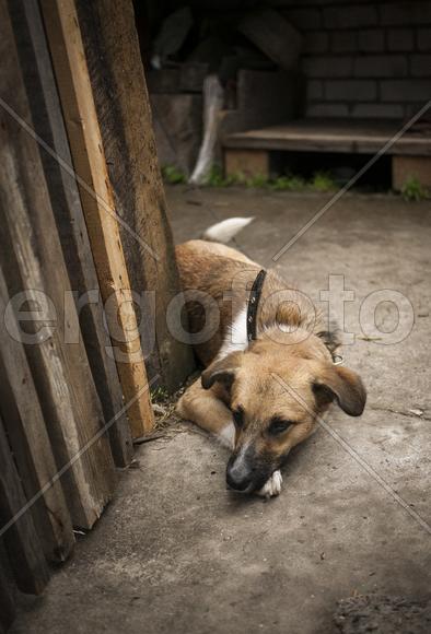 Наша Джеф скучает по нам