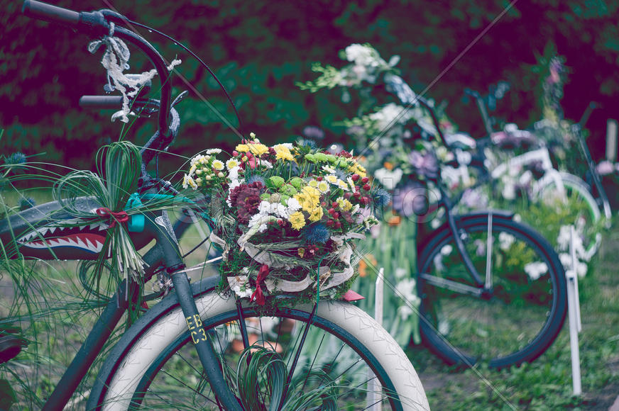 Выставка цветов