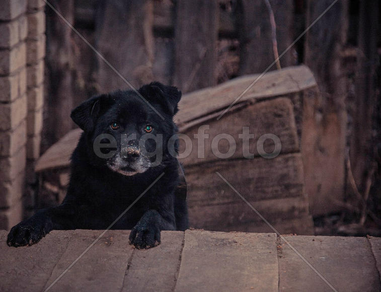 Ждем фотографа