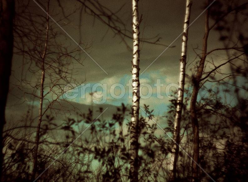 Надвигающаяся буря