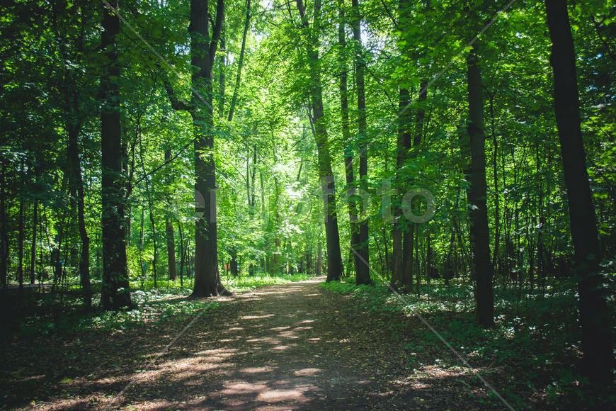 Пейзаж в парке Измайлово