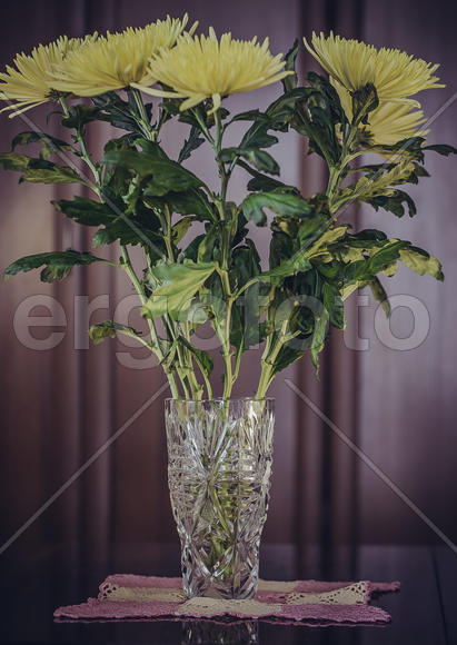 Букет Хризантем 2