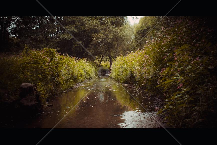 Серебрянка