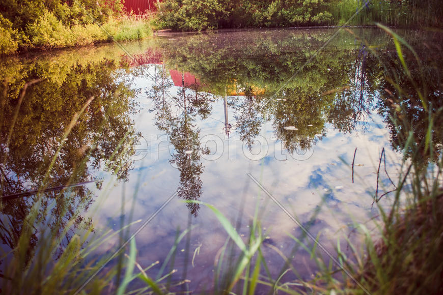 Отражение в озере