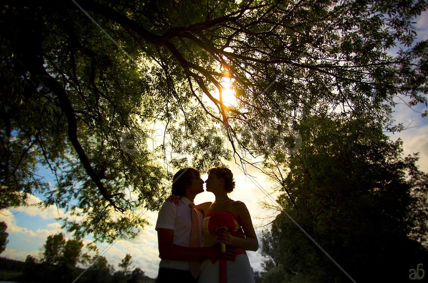 Силуэты влюбленных