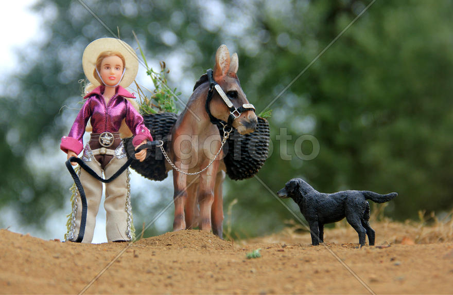 Работа на ранчо