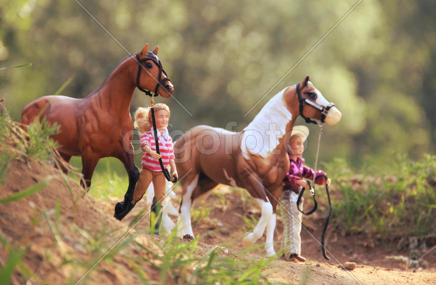 Прогулка с лошадьми