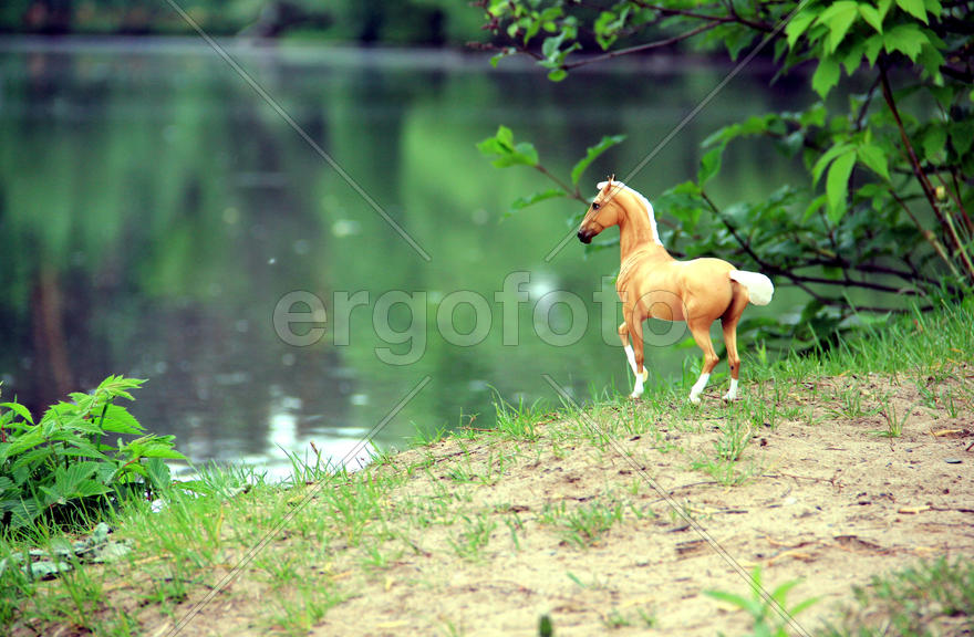 Конь гулял на воле.