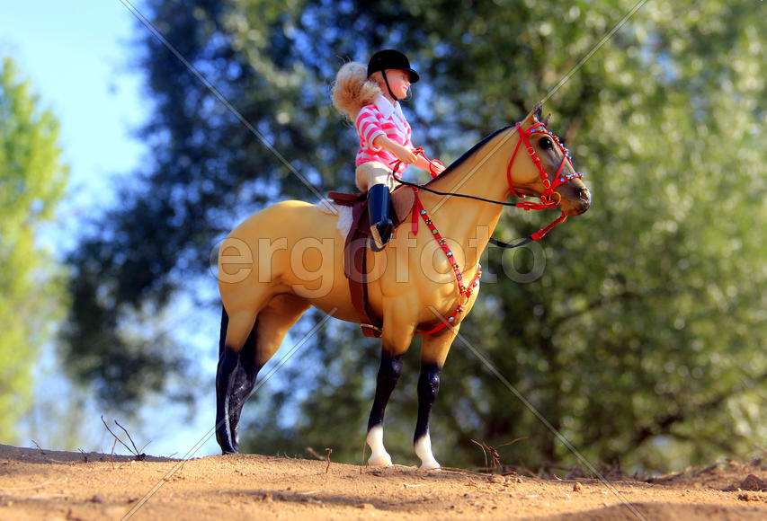 Прогулка верхом