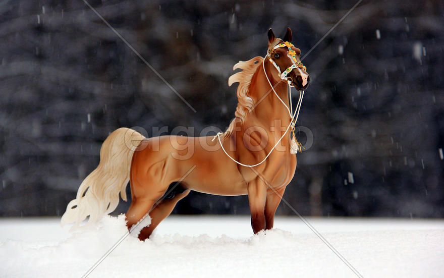 Американский седлбред