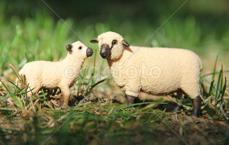 Овечка с ягненком