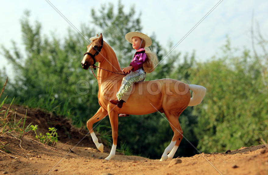 Верхом на мечте