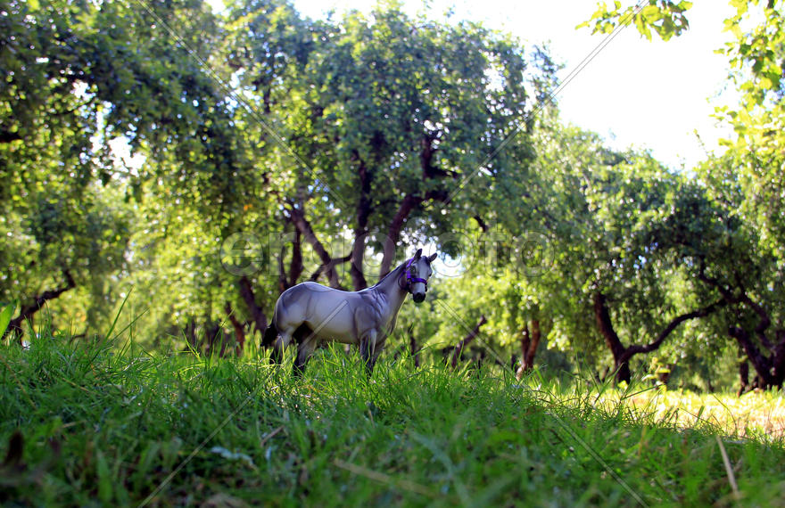 Среди яблонь