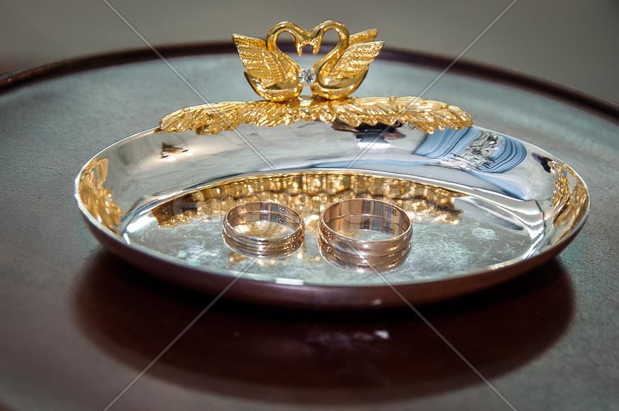 Наши кольца