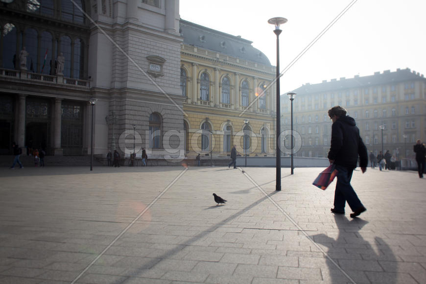 Незнакомец выгуливает птичку