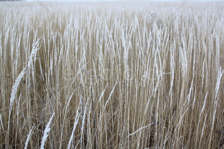 Бесконечность