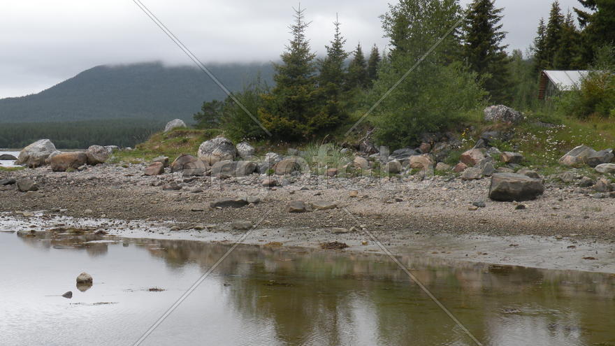 Домик мечты