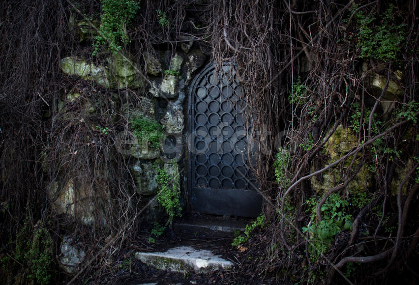 Дверь в нарнию