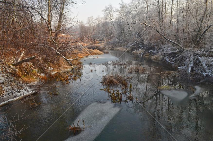 Времена года
