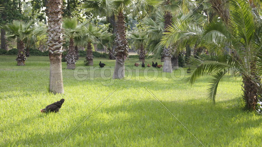 Райское местечко.