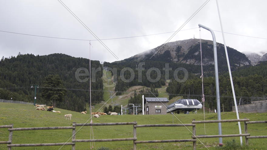 Горнолыжный склон