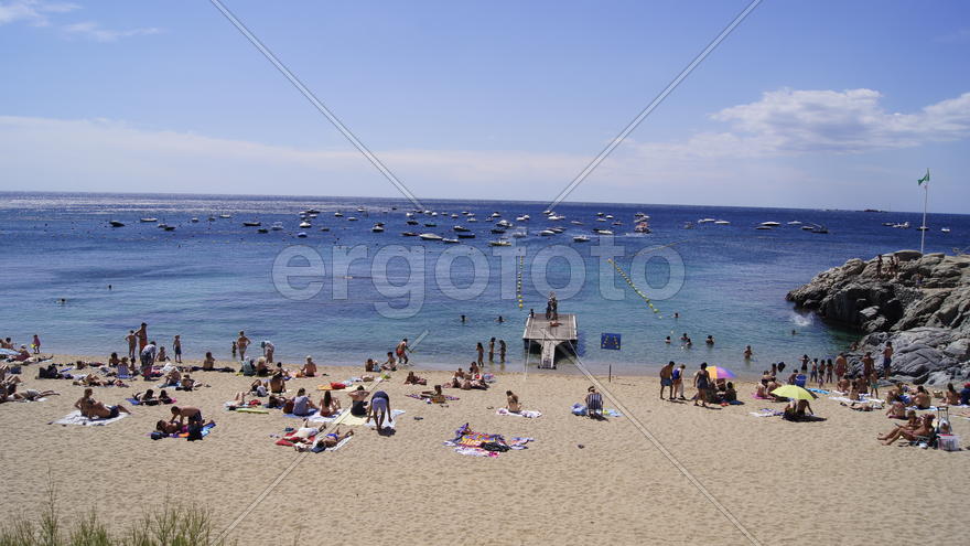 Летний день