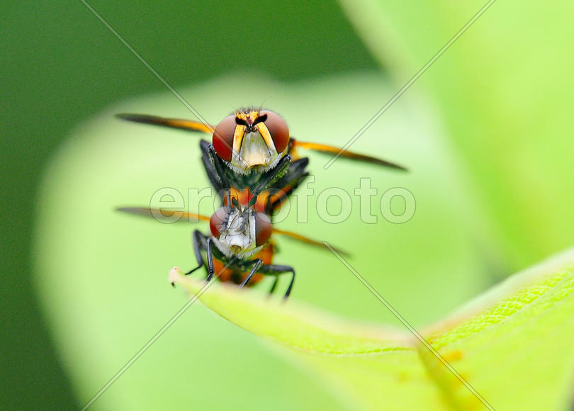 к полёту готовы