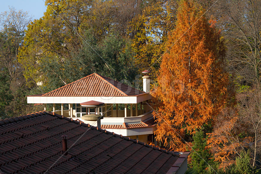 Осенние краски